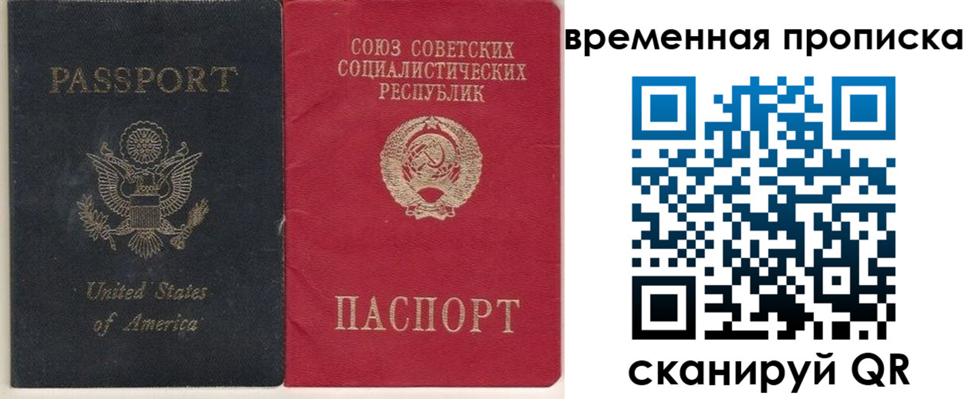 прописка для школы в Приморском крае